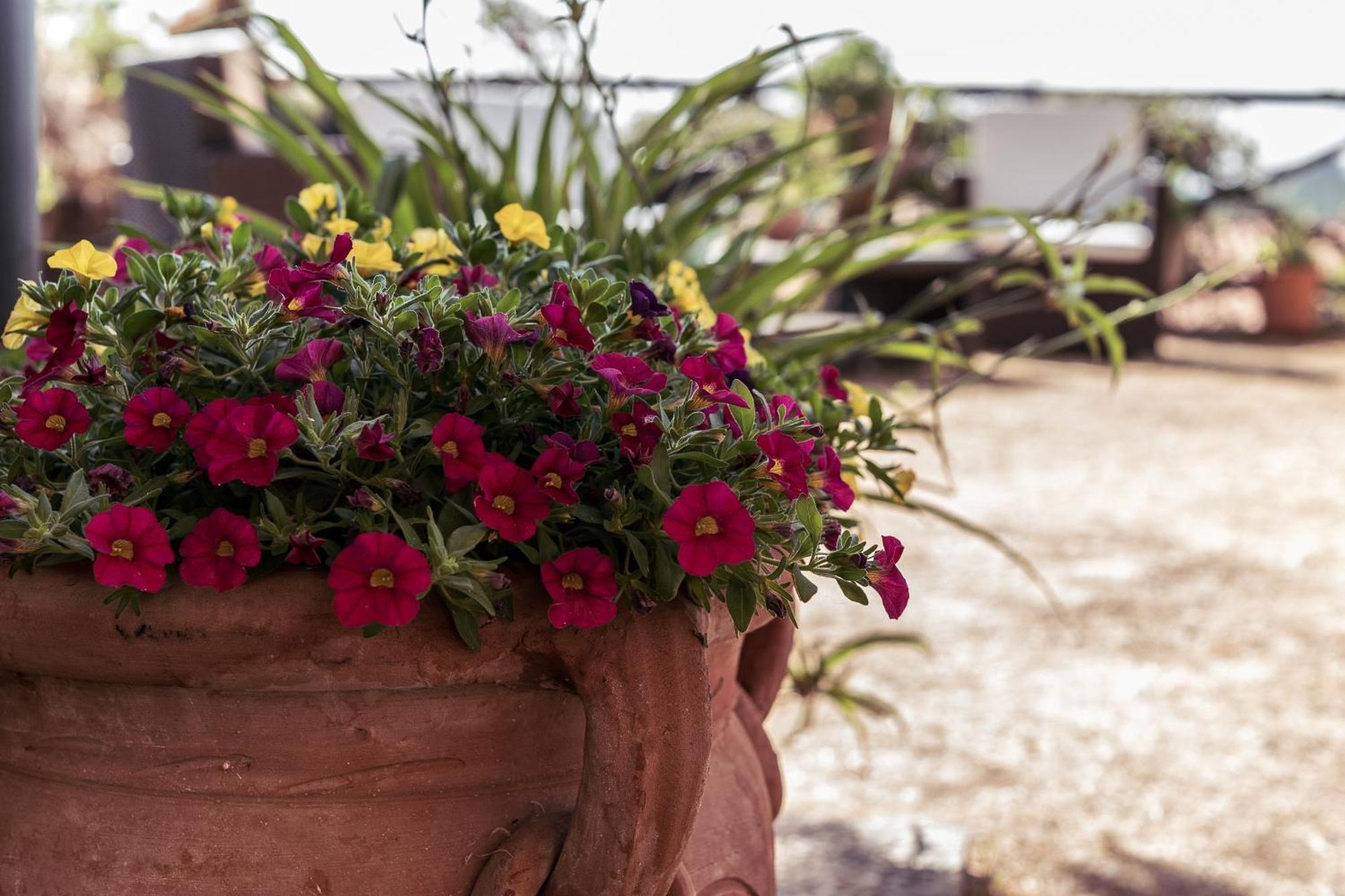 B&B Al Vecchio Forno Montepulciano Exterior photo